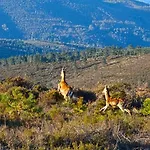 Πανσιόν Quinta Do Viso Local Miranda do Corvo