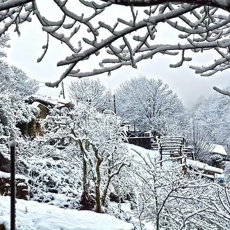 Quinta Do Viso Local 3*