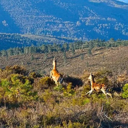 게스트하우스 Quinta Do Viso Local 미란다 두 코르부