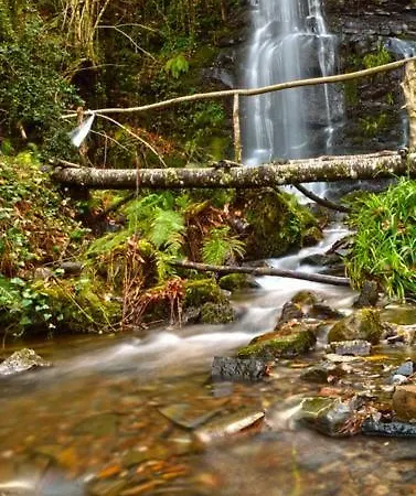 בית הארחה Quinta Do Viso Local 3*