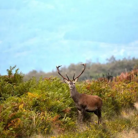 Gæstehus Quinta Do Viso Local 3*