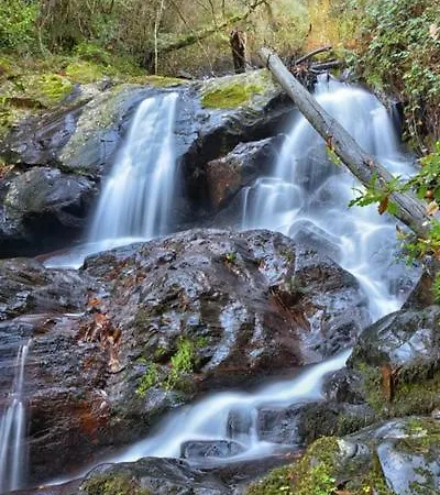 Quinta Do Viso Local 3*