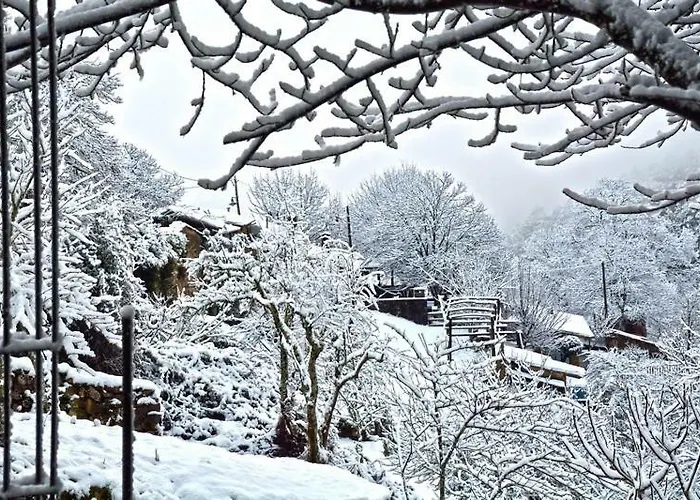 Quinta Do Viso Local 3*