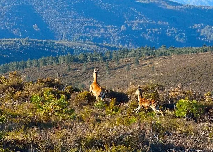 بيت ضيافة Quinta Do Viso Local ميراندا دو كورفو
