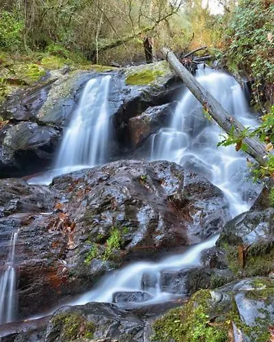 Quinta Do Viso Local 3*